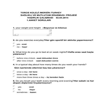 English  turkish survey