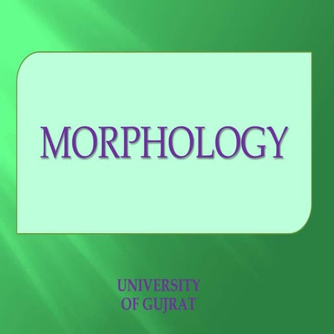 MORPHOLOGY Muhammad Qasim Department of Environmental Science University of G...