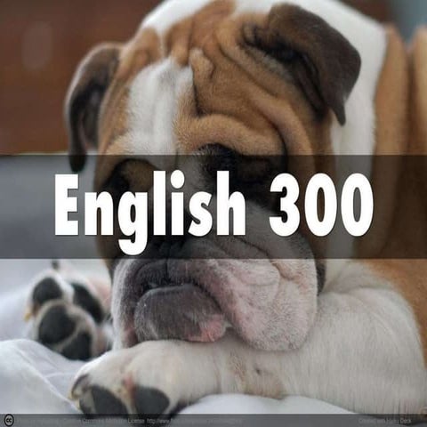 English300 goalsobjectives 2015