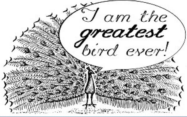 English 8 - Hyperbole and Litotes