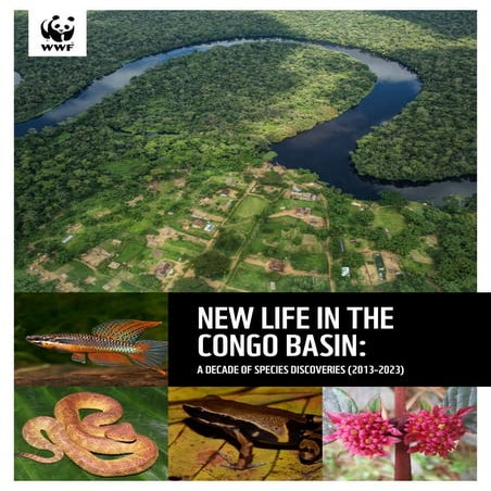 WWF Report. New Life Report in the Congo Basin