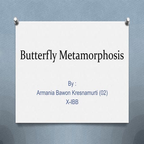 English language task about explanation text 