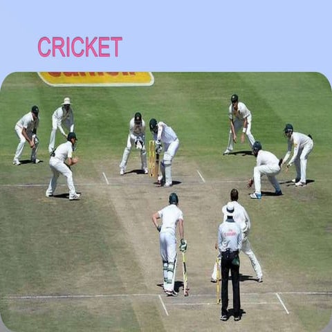 presentation on cricket | PPTX