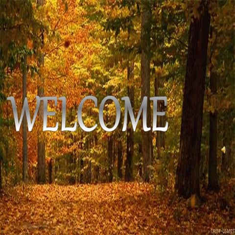 On the face of it. Class 12th by SUSAN HILL