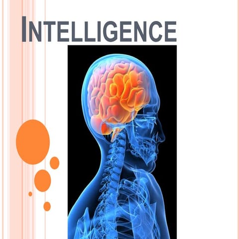 English presentation 3