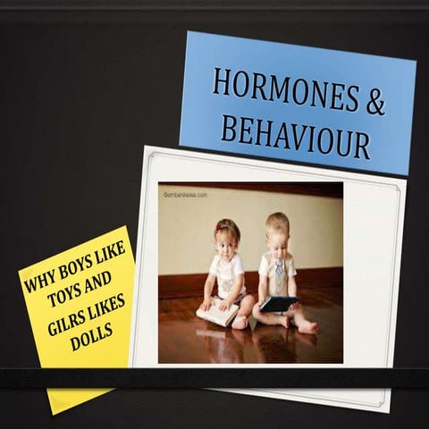 English presentation - hormone & behavior