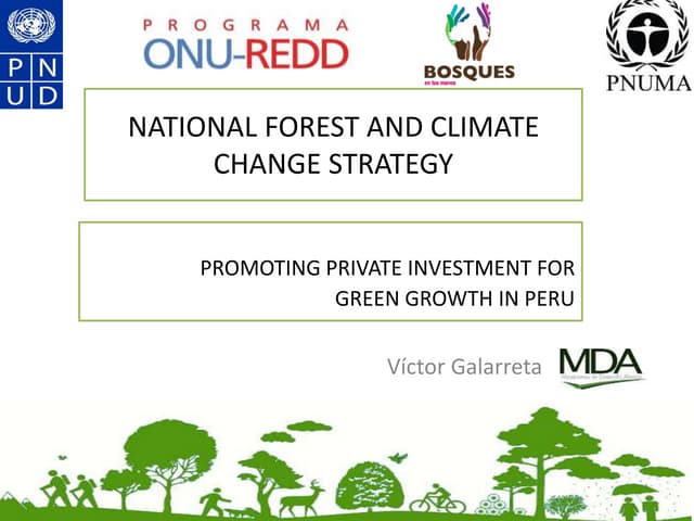 Promoting Private Investment for Green Growth in Peru- Víctor Galarreta
