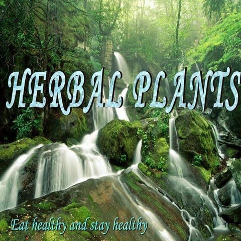 HERBAL PPT