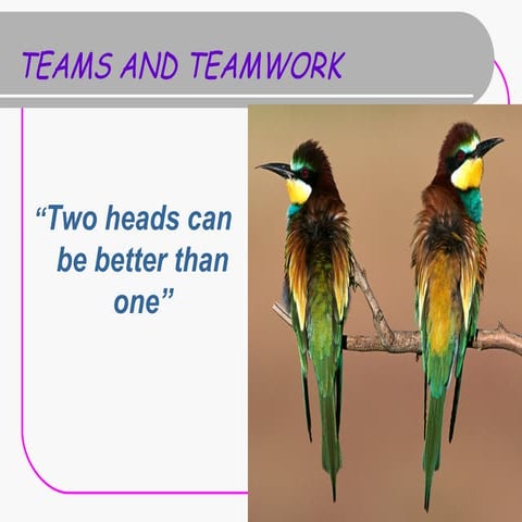 Importance of Teamwork in an Organization