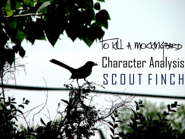 To kill a mockingbird | PPT