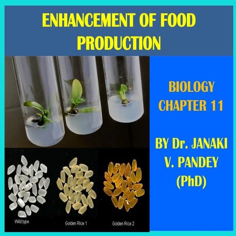 Enhancement of Food Production