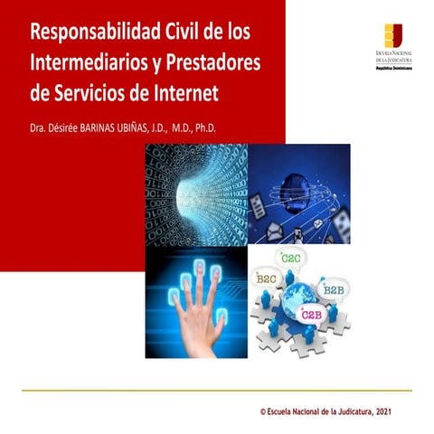 Módulo VI: Responsabilidad Civil de los intermediarios y prestadores de servi...