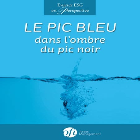 Enjeux ESG en perspectives : le pic bleu dans l'ombre du pic noir