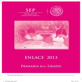 EXAMEN Enlace 2013 