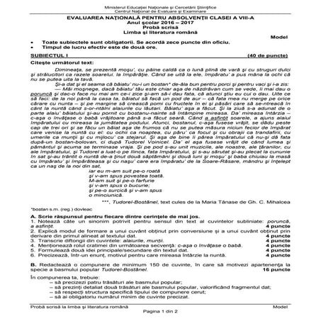 variante pentru examen