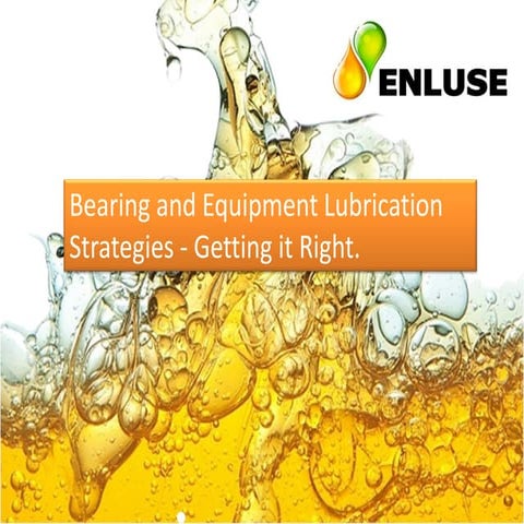 Enluse- Schmierungsmanagement.pdf