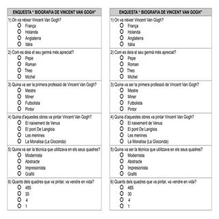 Enquesta biografia van gogh