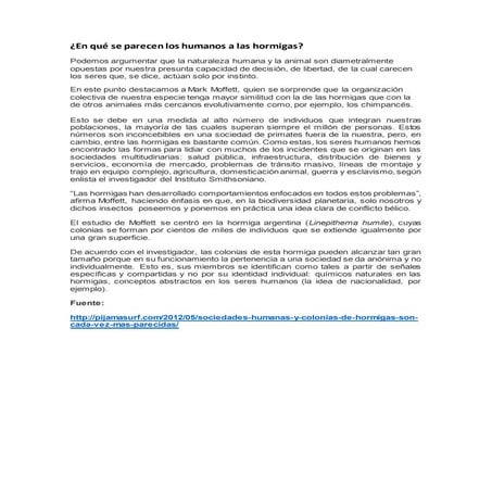 En quã© se parecen los humanos a las hormigas