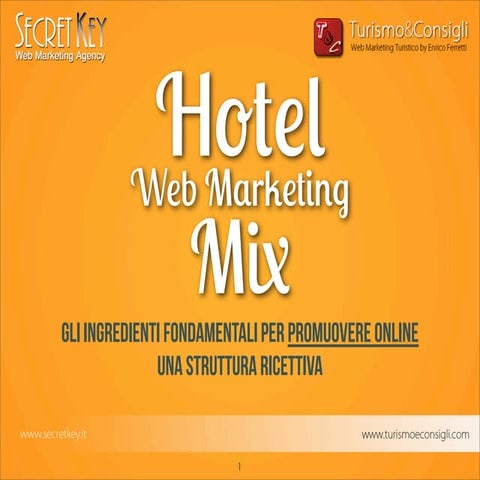 Hotel Web Marketing Mix - Webreevolution