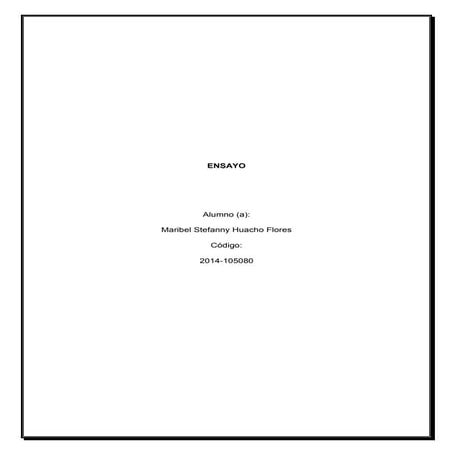 Ensayo MYPES - PORTER