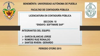 Ensayo Software SAP