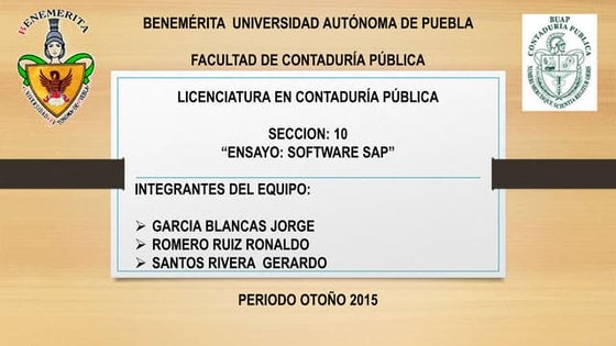 Ensayo Software SAP