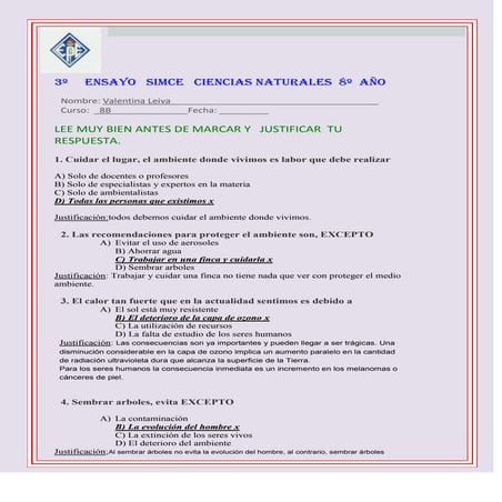 Ensayo3 131012215851-phpapp01