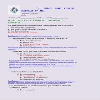 Ensayo3 131012215851-phpapp01