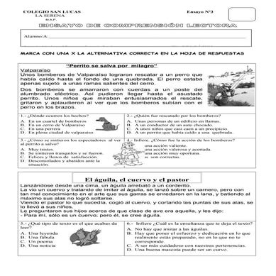 Ensayo 3 lectura comprensiva