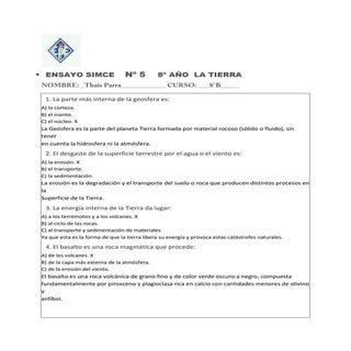 Ensayo 5