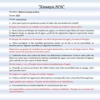 Ensayo6 8°b
