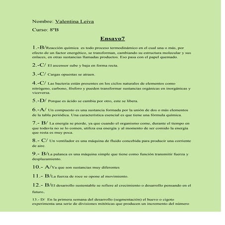 Ensayo 7