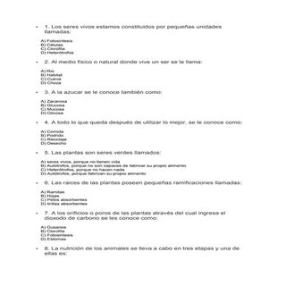 1º  Ensayo   8 º B