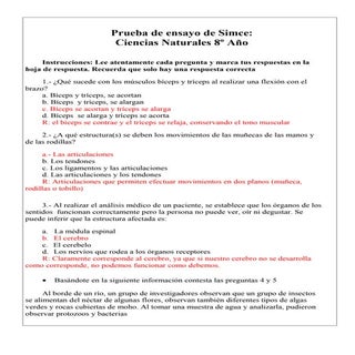 Ensayo9 131115185136-phpapp02