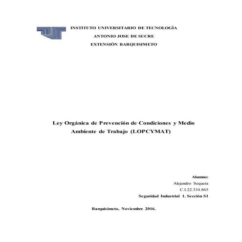 Ensayo alejandro sequera