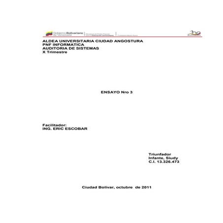 Ensayo auditoria de sistemas