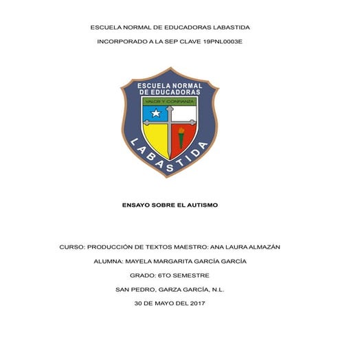 Ensayo sobre el Autismo