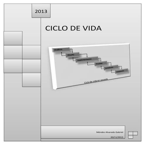 Ensayo de ciclo de vida
