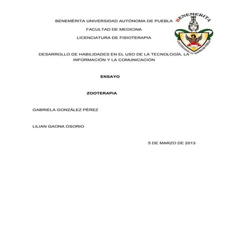 Ensayo final de tics