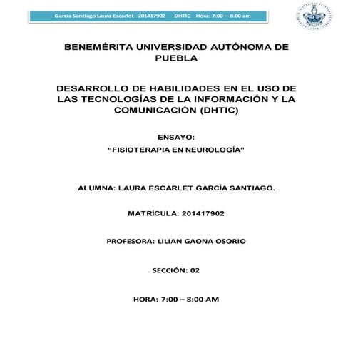 Ensayo fisioterapia neurológica