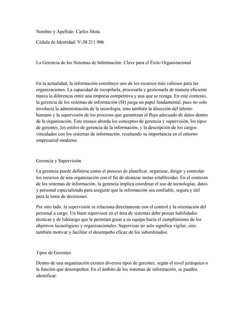 La Gerencia de los Sistemas de Información: Clave para el Éxito Organizacional