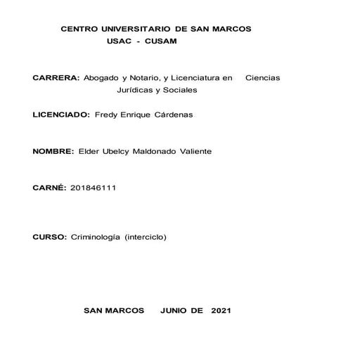 ensayo lic cardenas.docx