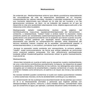 Ensayo Medioambiente