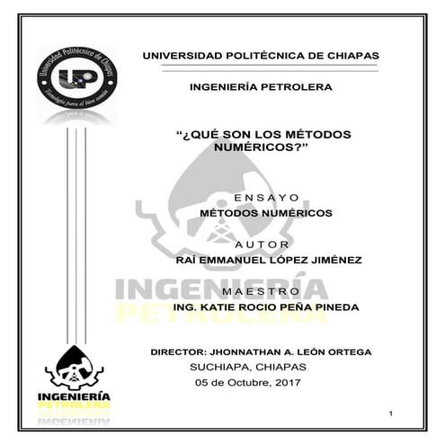Ensayo Méotodos numéricos 