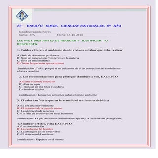 ensayo simce n°3