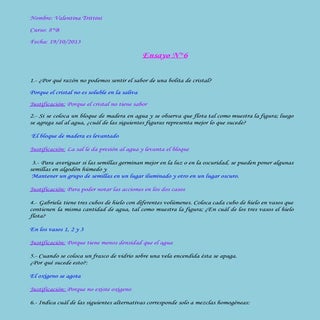 Ensayon6 131022102043-phpapp02