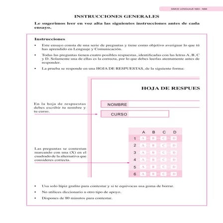 Ensayo lenguaje Simce nº7