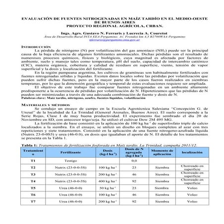 Ensayo n maiz inta 2011