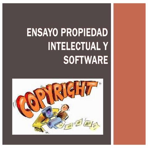 Ensayo protección jurídica-argentina-usa-autoguardado