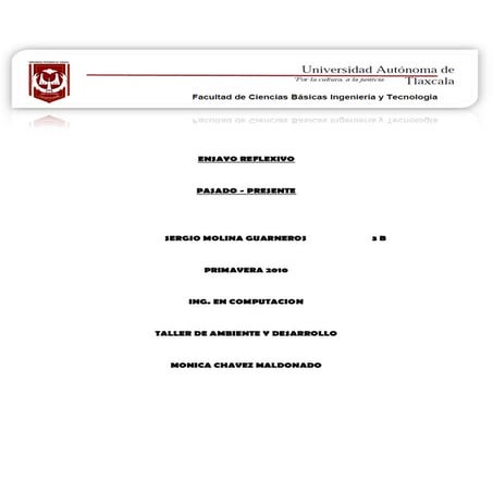 Ensayo reflexivo